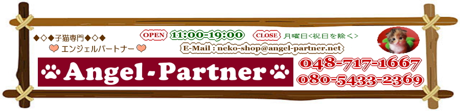 qLu[_[̃ybgVbv Angel-Partner^GWFp[gi[